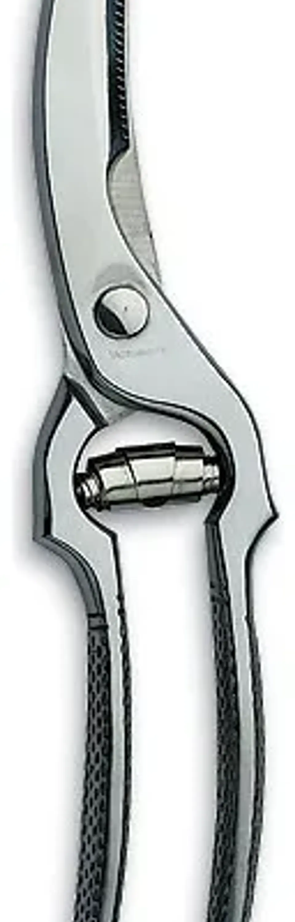 Tijeras De Corte Preciso Victorinox Para Aves, 7.6345 1