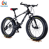 Bicicleta New Speed aro 26 FatBike