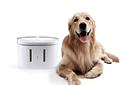 Dispensador de Agua Automático para Mascotas