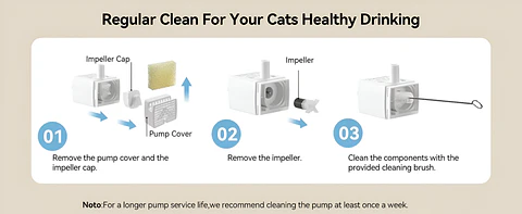 Fuente de agua automática para gatos con app