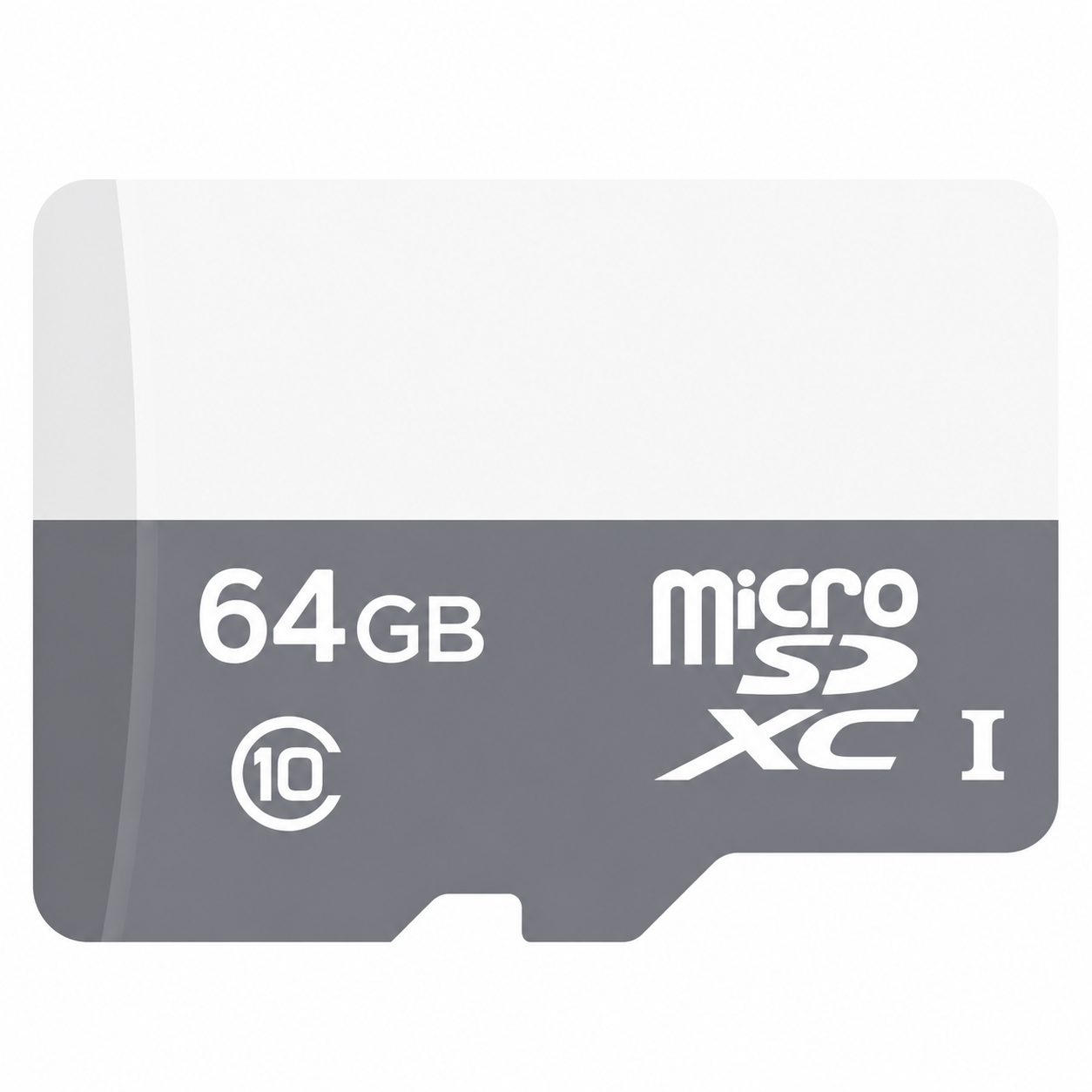 64GB micro SDHC Class 10