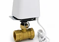 Válvula Inteligente Tuya Zigbee/WiFi para Agua 1/2