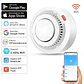 Detector de Humo Inteligente WiFi para Seguridad - Miniatura 1