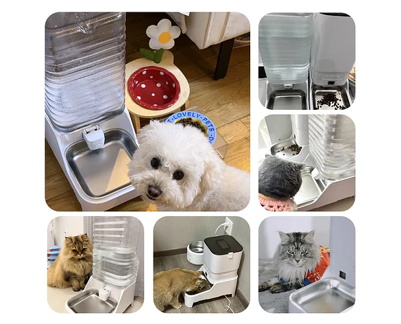 Comedero Inteligente para Gatos y Perros Automático