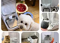 Comedero Inteligente para Gatos y Perros Automático