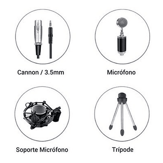 Microfono Microlab Condensador Studio B5 Black