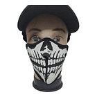 Mascara calabera 858 2