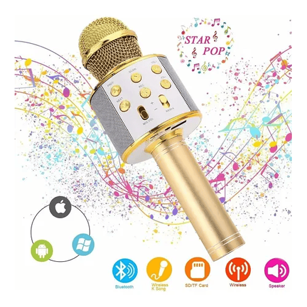 Microfono portatil 1154 1