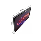 Letrero led luminoso pollo asado bajo consumo  2