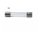 Fusible largo de vidrio 6x30mm 1