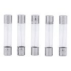 Fusible largo de vidrio 6x30mm 2