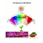 2 Led 3w 3v Alta Potencia Azul Luz Lámpara Reflector Smd 3