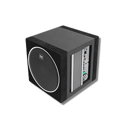  subwoofer de 10