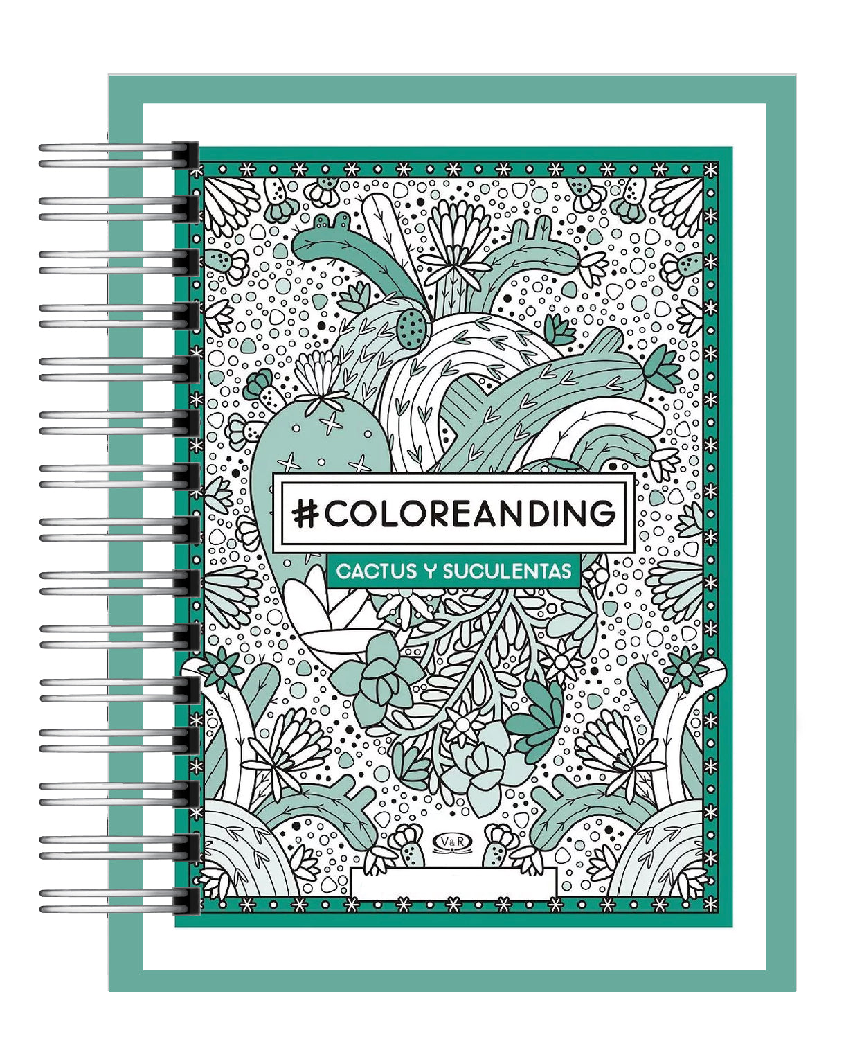 Coloreando Cactus y Suculentas 1