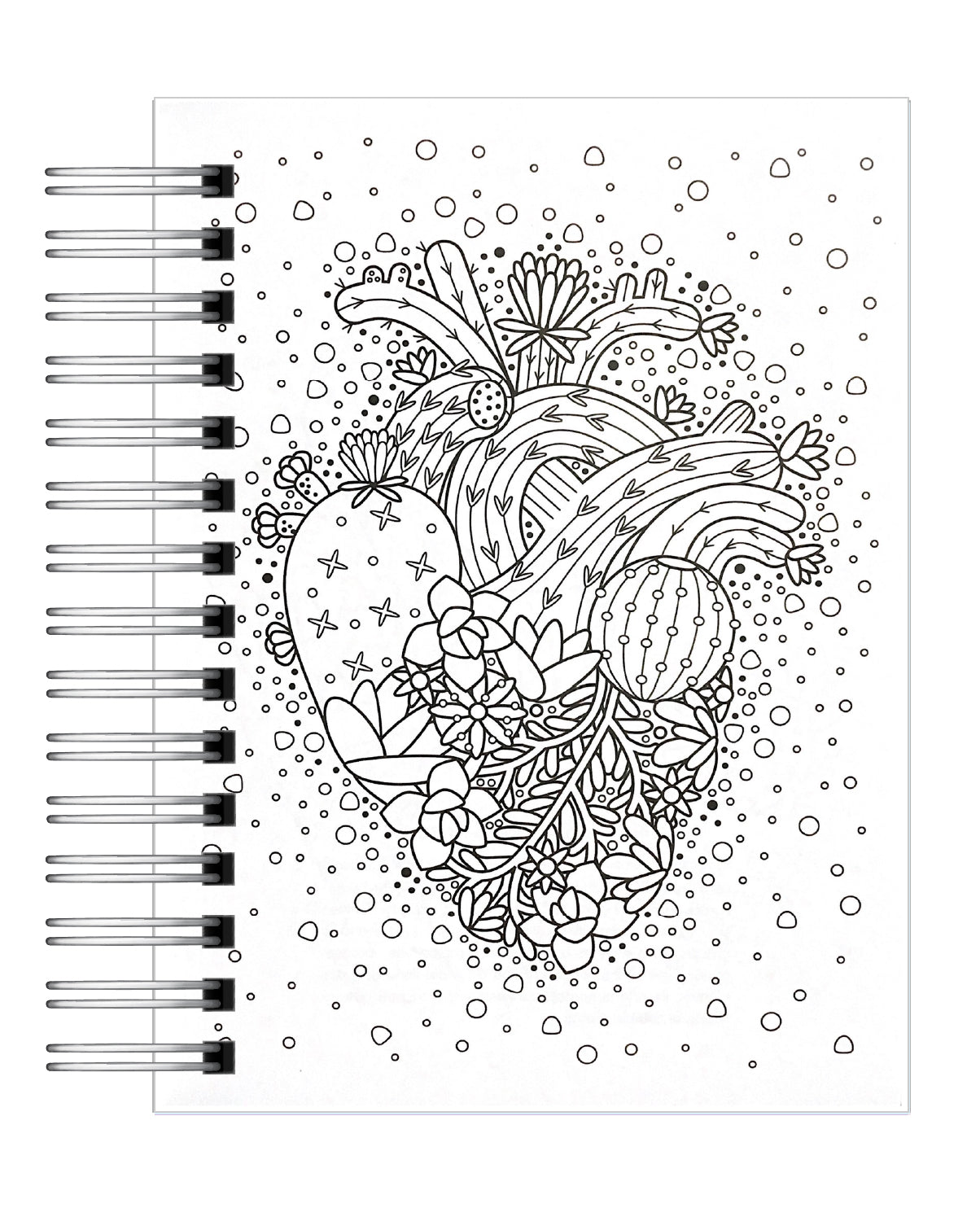 Coloreando Cactus y Suculentas 3