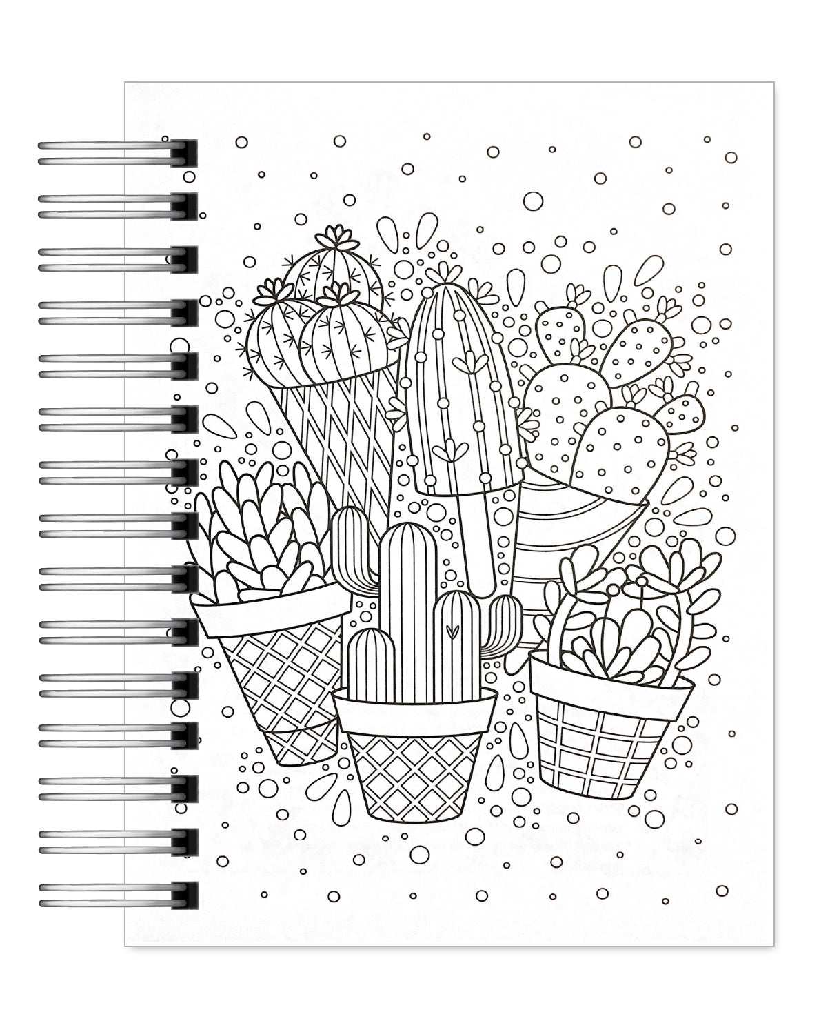 Coloreando Cactus y Suculentas 4