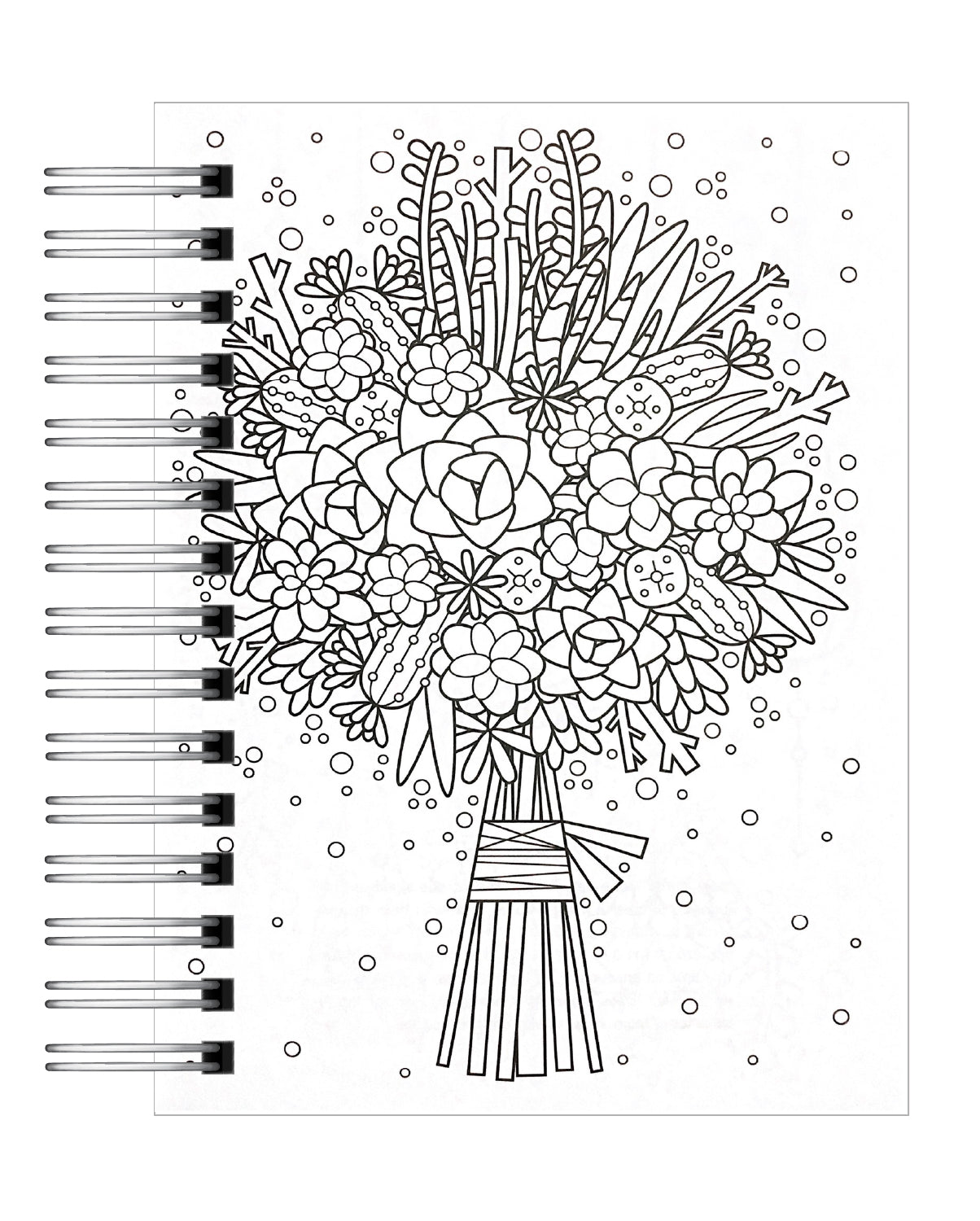 Coloreando Cactus y Suculentas 5