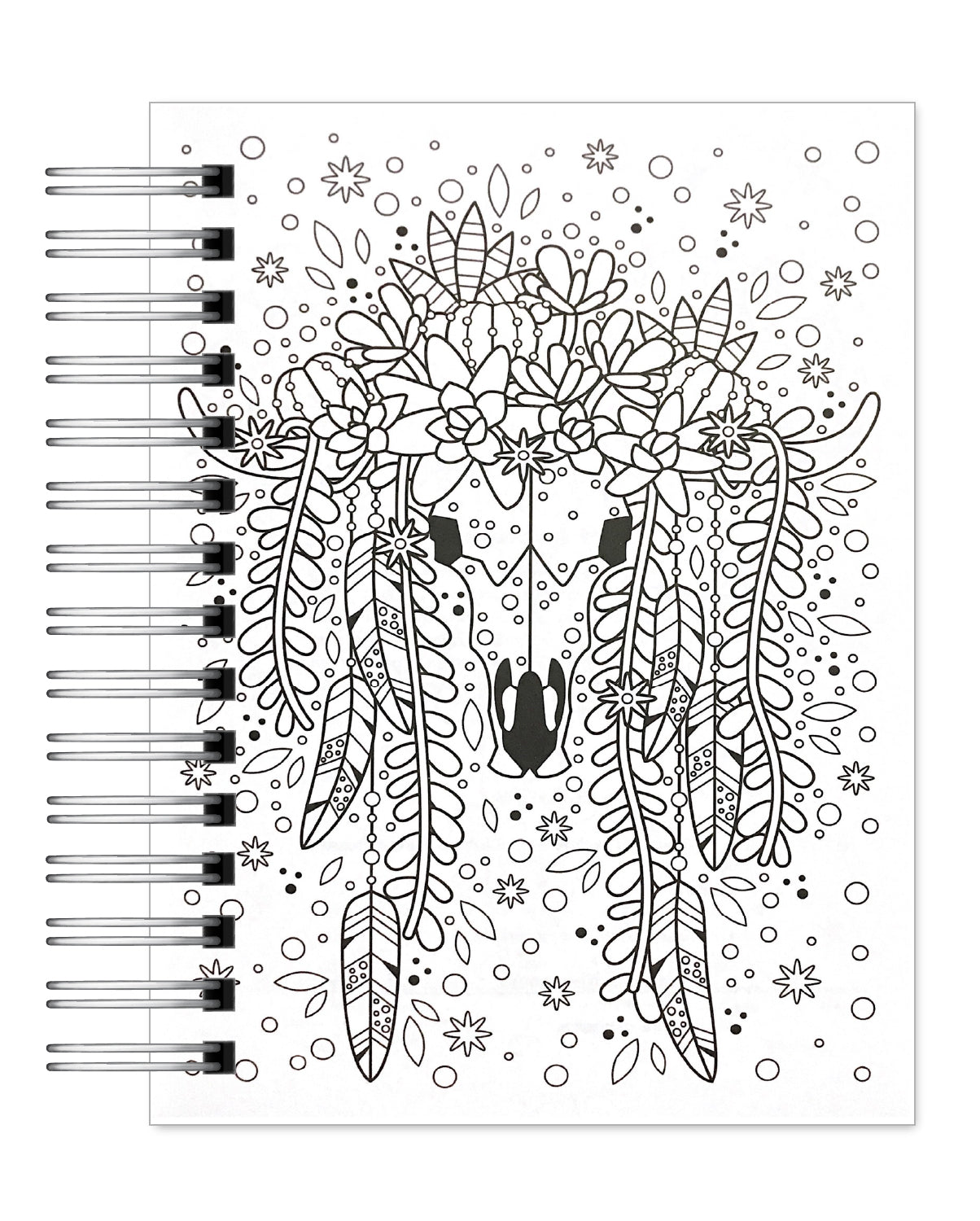 Coloreando Cactus y Suculentas 6