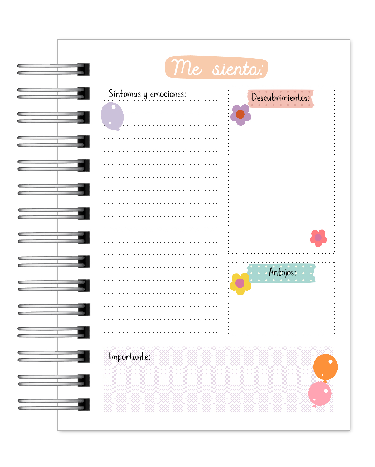 Agenda Diario de Embarazo 6