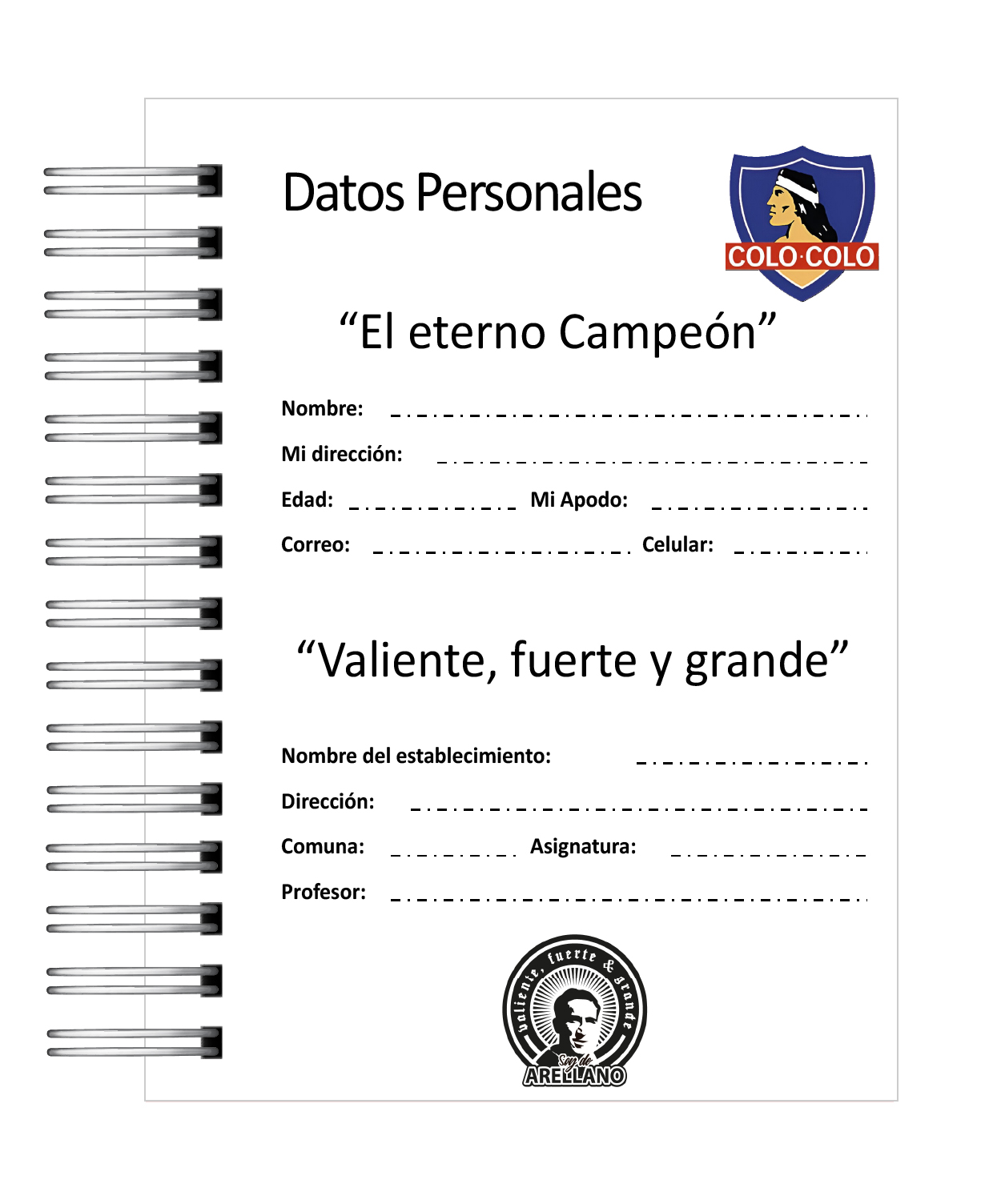 Agenda Colo Colo 2026 2