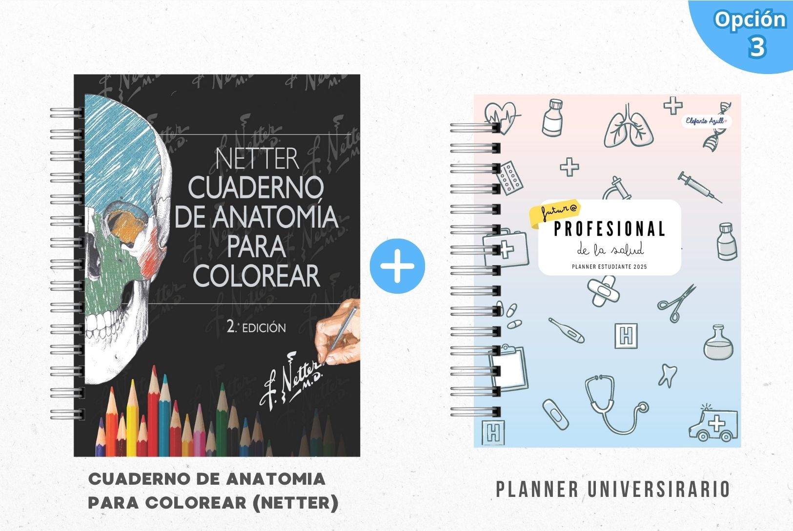 PACK MECHÓN DE LA SALUD 4