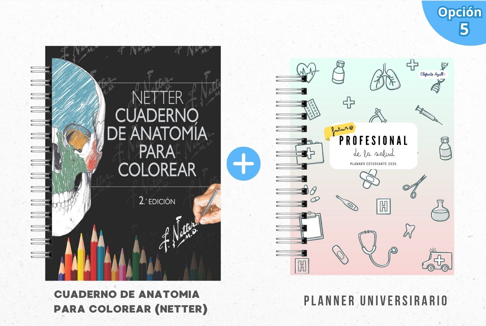 PACK MECHÓN DE LA SALUD 6