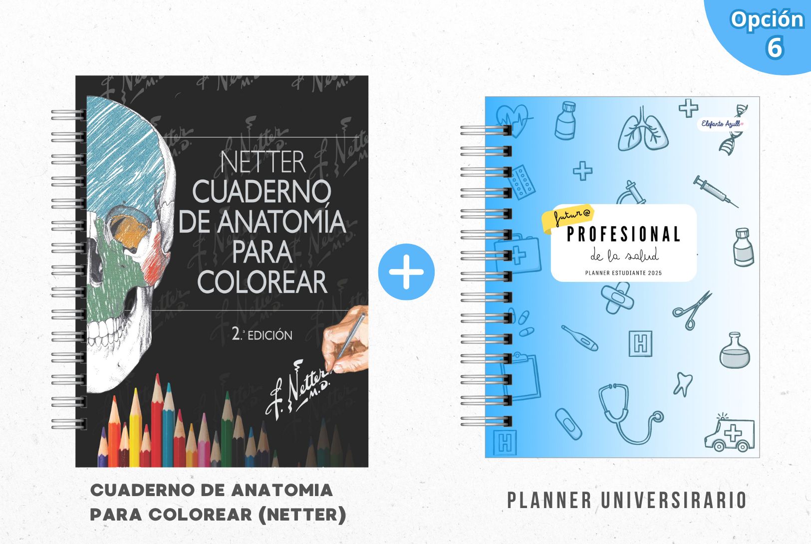 PACK MECHÓN DE LA SALUD 7