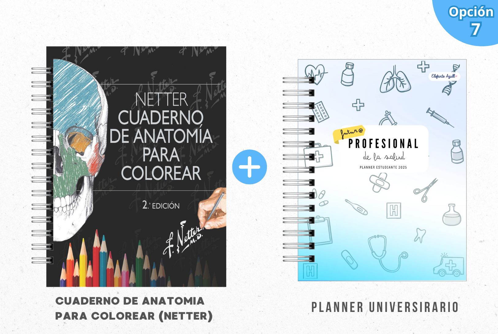 PACK MECHÓN DE LA SALUD 8