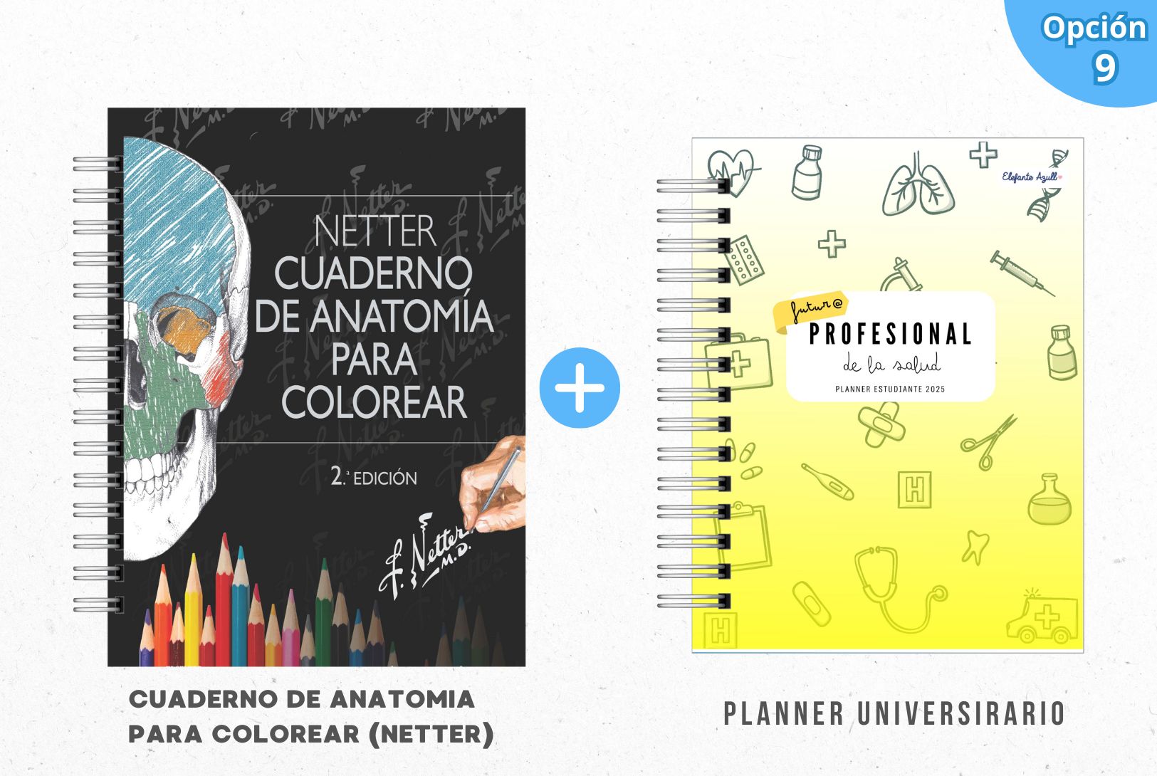 PACK MECHÓN DE LA SALUD 10