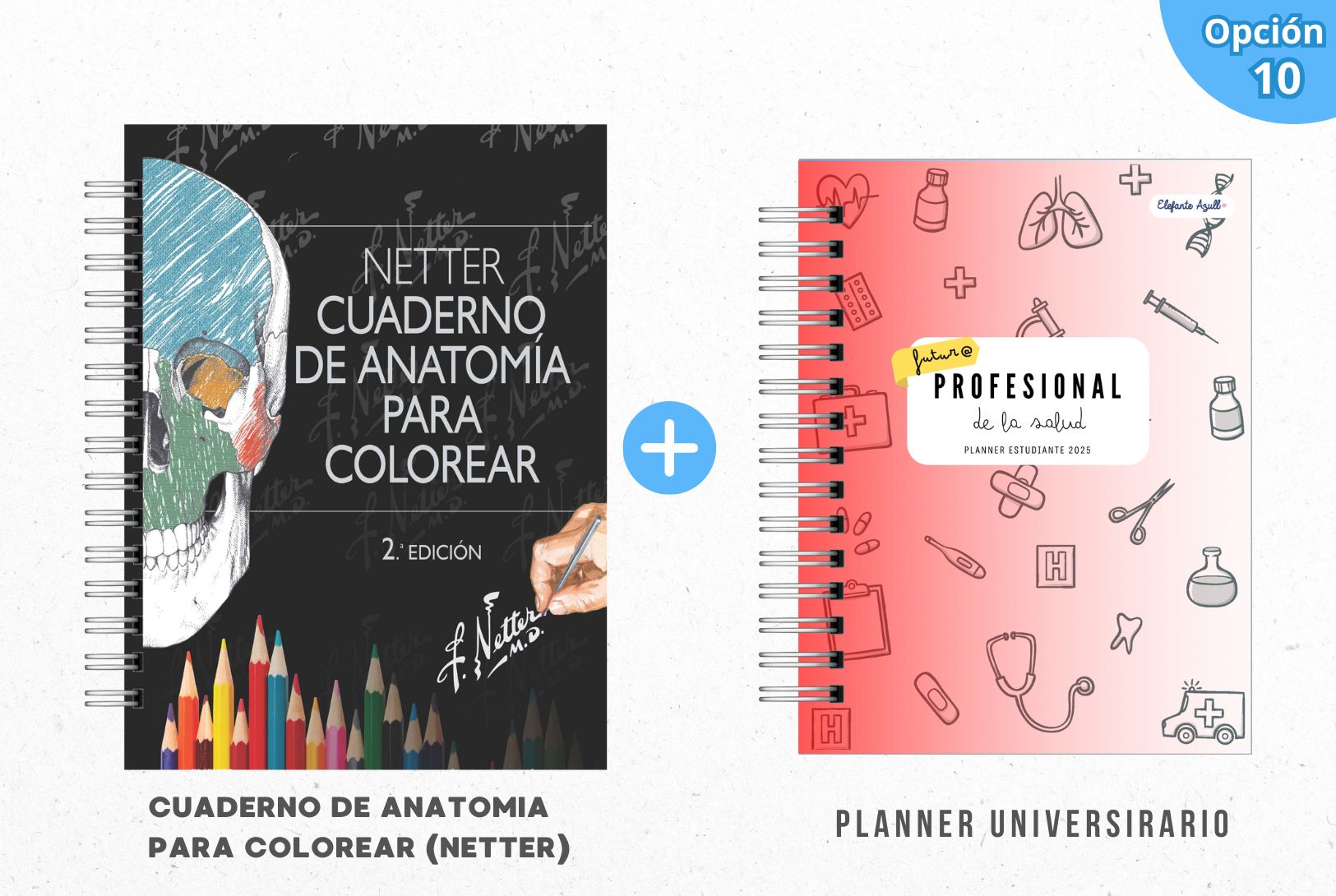 PACK MECHÓN DE LA SALUD 11