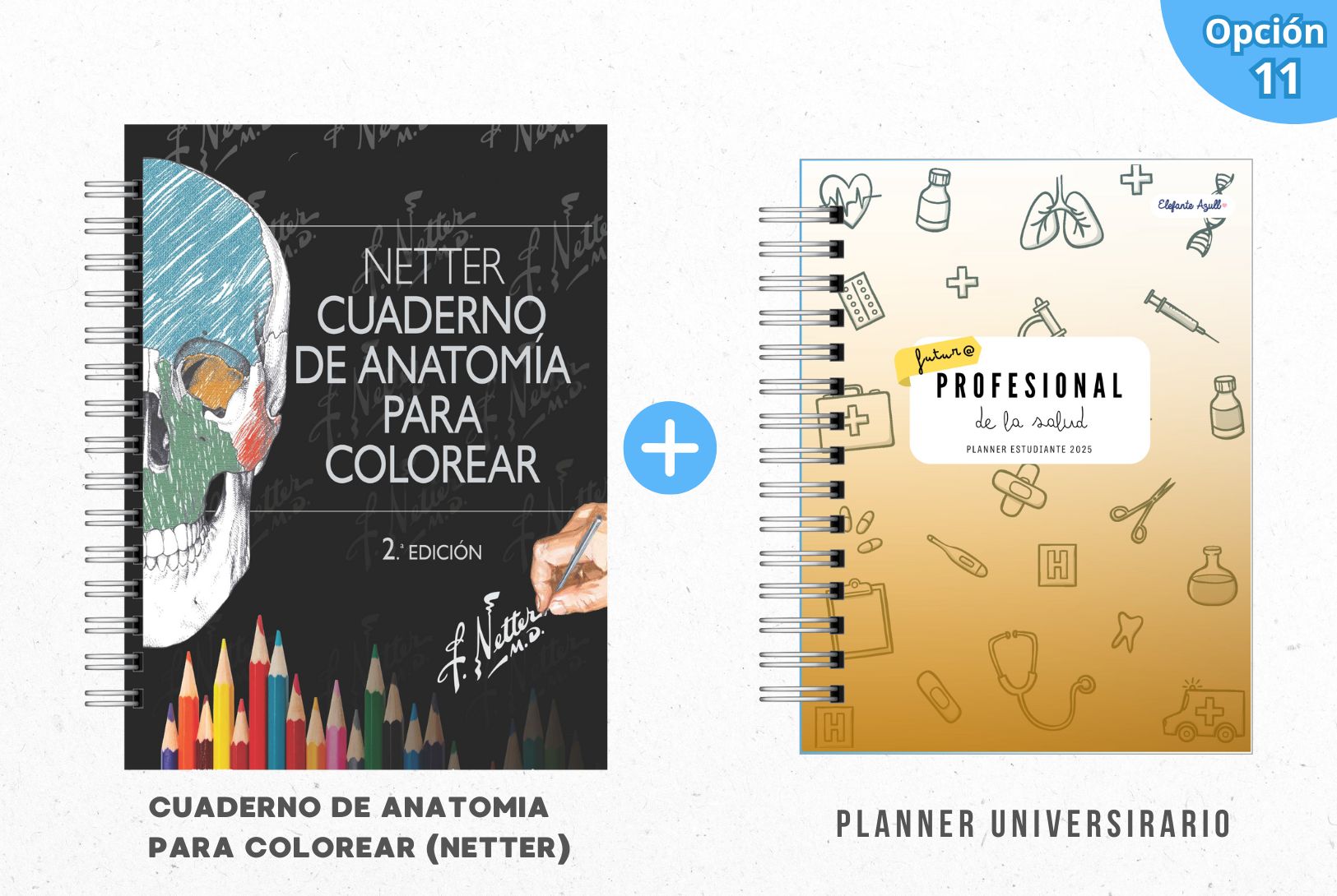 PACK MECHÓN DE LA SALUD 12