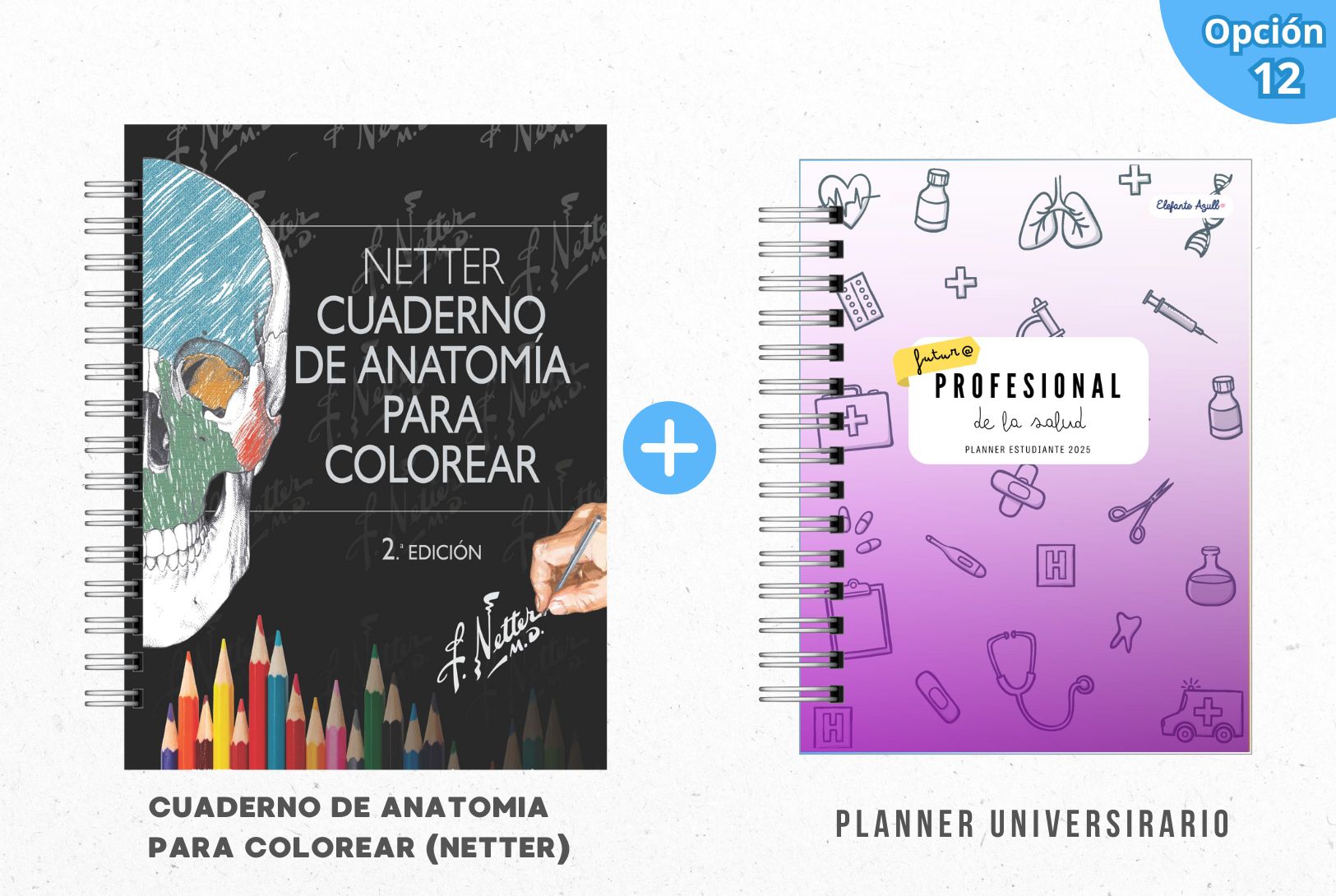 PACK MECHÓN DE LA SALUD 13