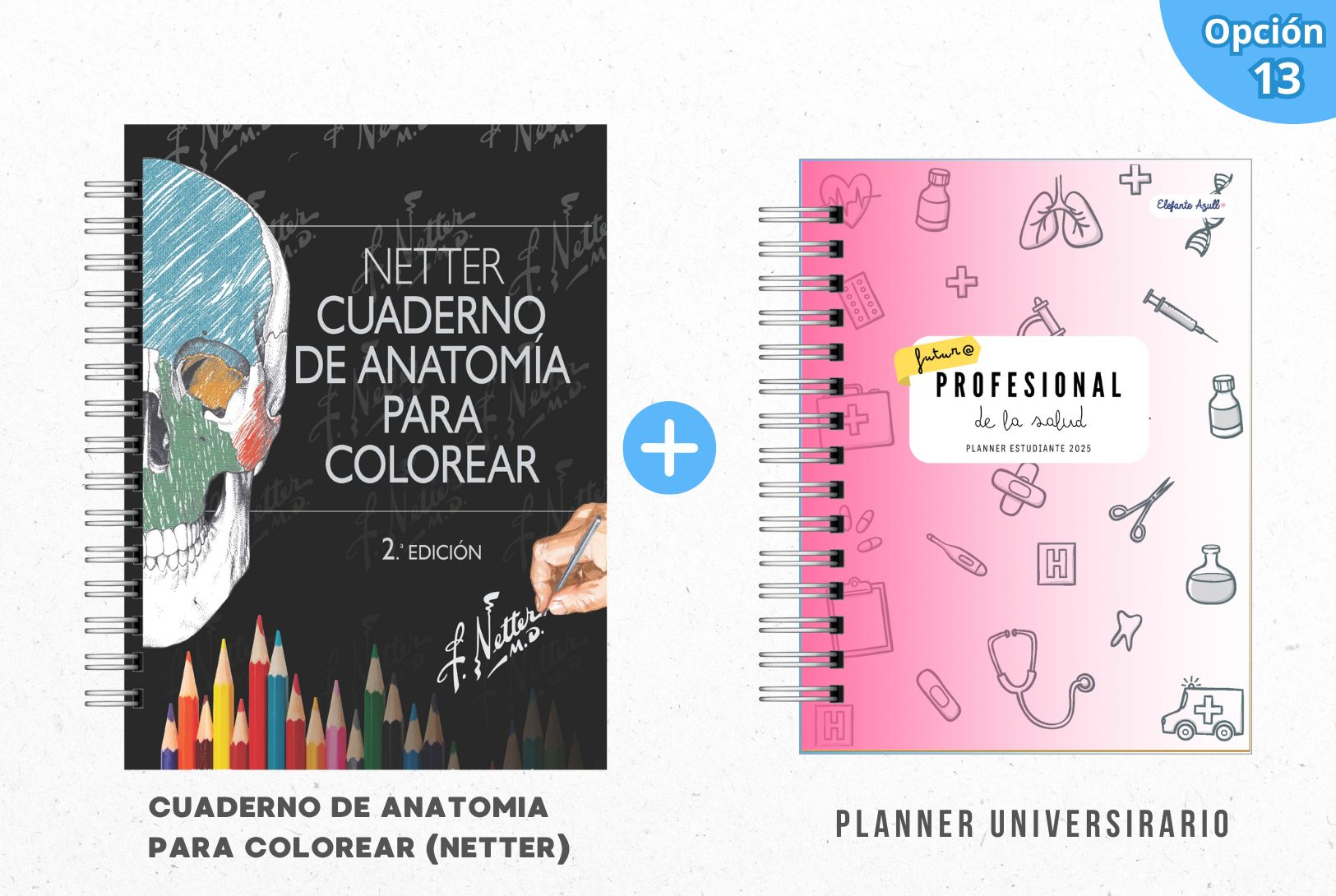 PACK MECHÓN DE LA SALUD 14