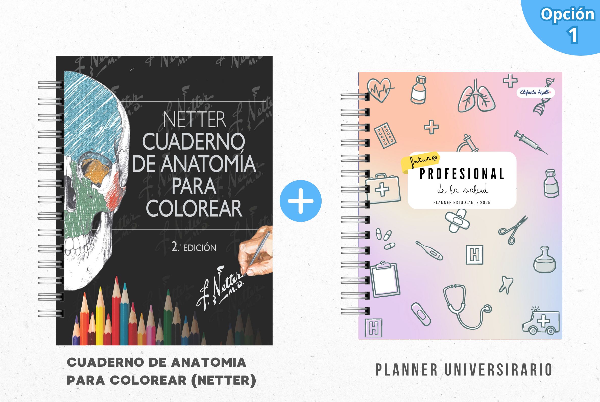 PACK MECHÓN DE LA SALUD 1