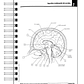 Libro para Colorear: Neurociencia Netter 2 - Miniatura 5
