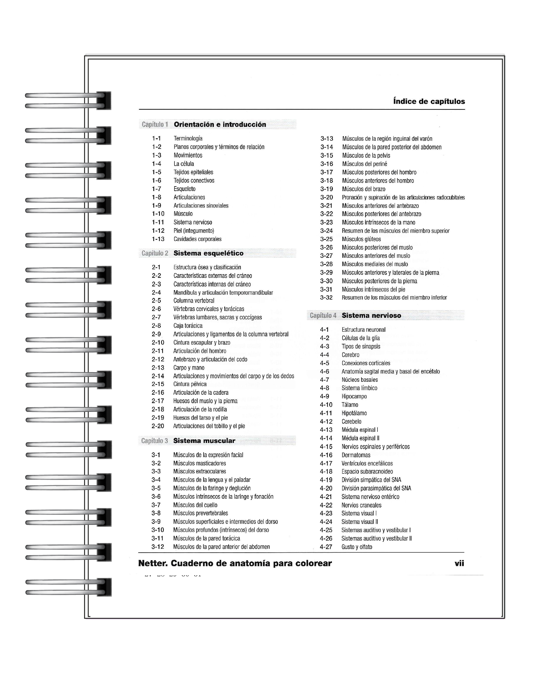Libro para Colorear: Anatomía Netter 3