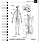 Libro para Colorear: Anatomía Netter - Miniatura 4