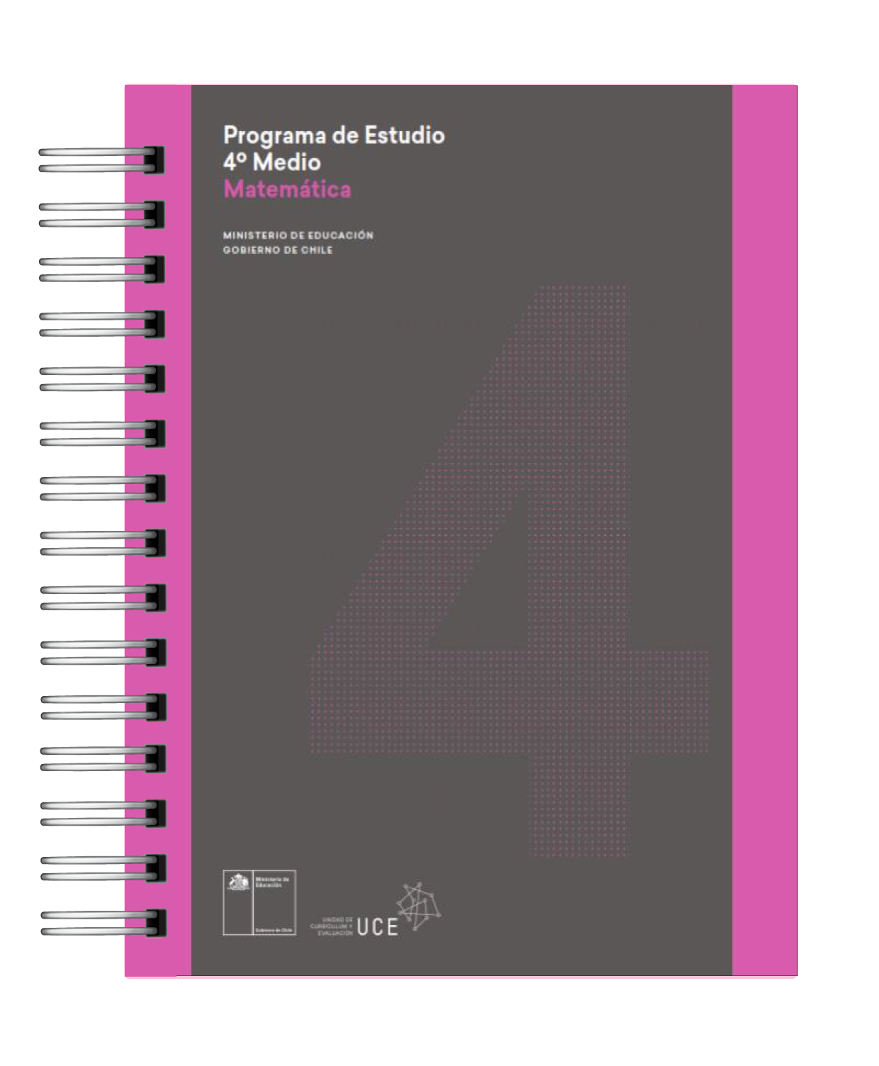 Programas Educativos Oficiales del MINEDUC 1