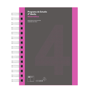 Programas Educativos Oficiales del MINEDUC