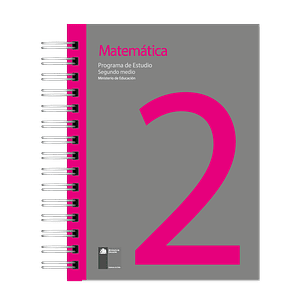 Programas Educativos Oficiales MINEDUC – Impresos por Asignatura y Nivel