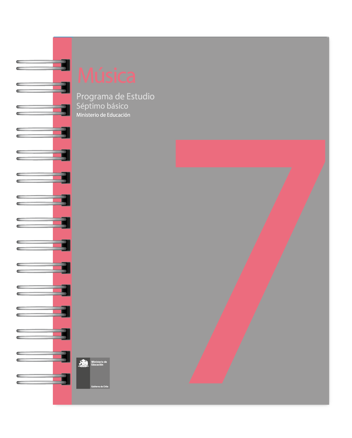 Programas Educativos Oficiales del MINEDUC 6