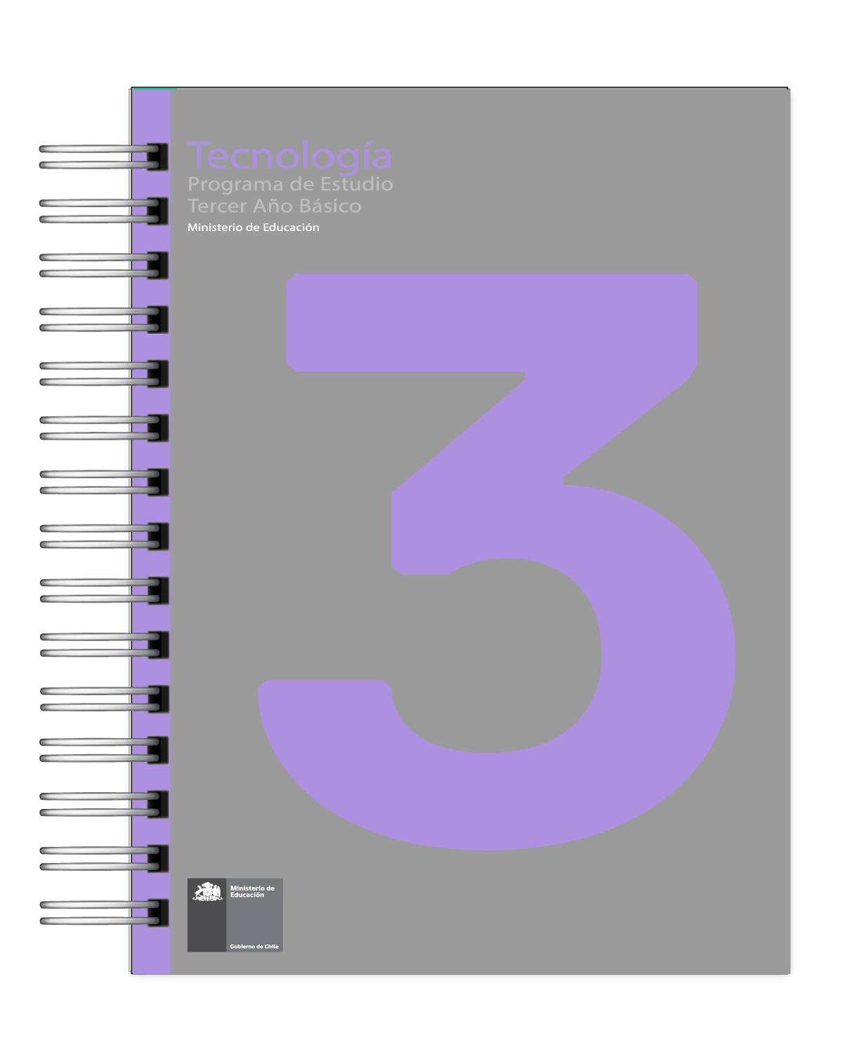 Programas Educativos Oficiales del MINEDUC 9