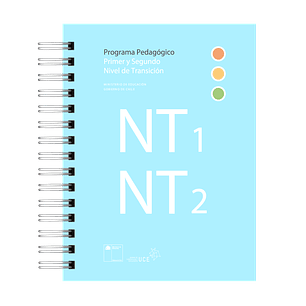 Programa Pedagógico de  Educación Parvularia Primer y Segundo Nivel de Transición (NT1 y NT2)