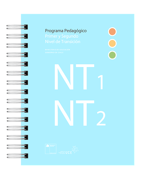 Programa Pedagógico NT1 y NT2 – Educación Parvularia | Formato Impreso