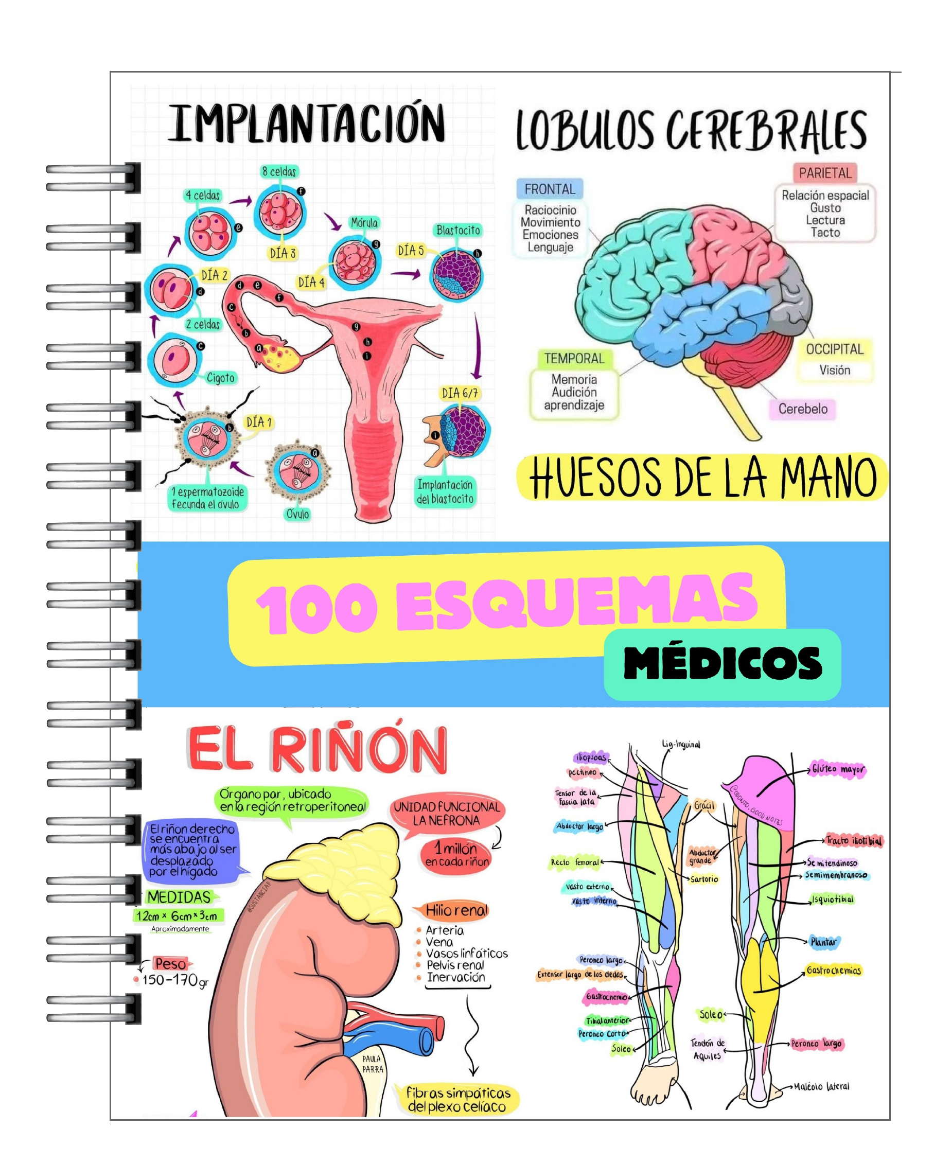 Libreta de 100 Esquemas Médicos 1