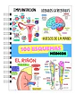 Libreta de 100 Esquemas Médicos - Miniatura 1