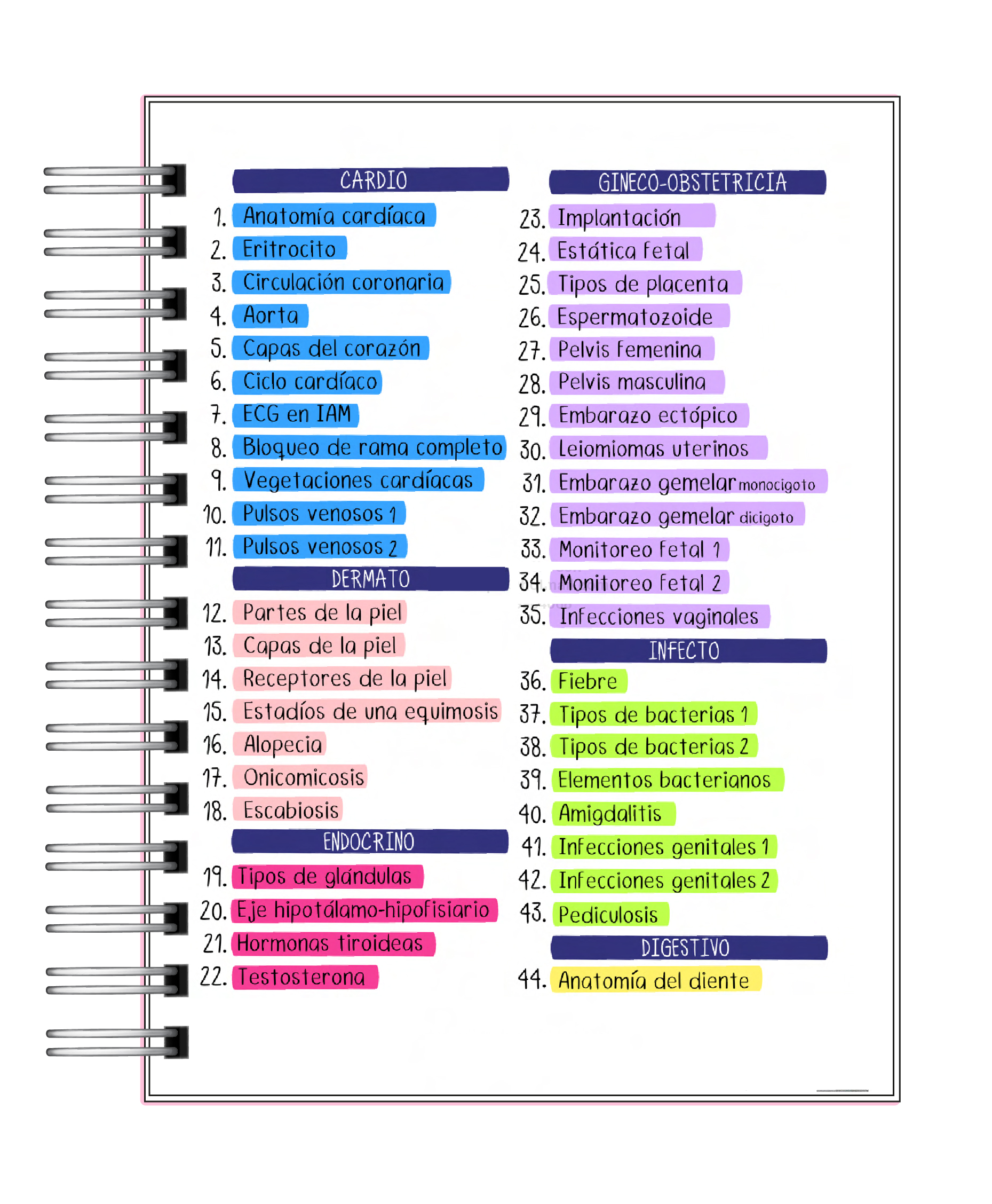 Libreta de 100 Esquemas Médicos 2