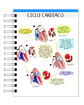 Libreta de 100 Esquemas Médicos - Miniatura 6