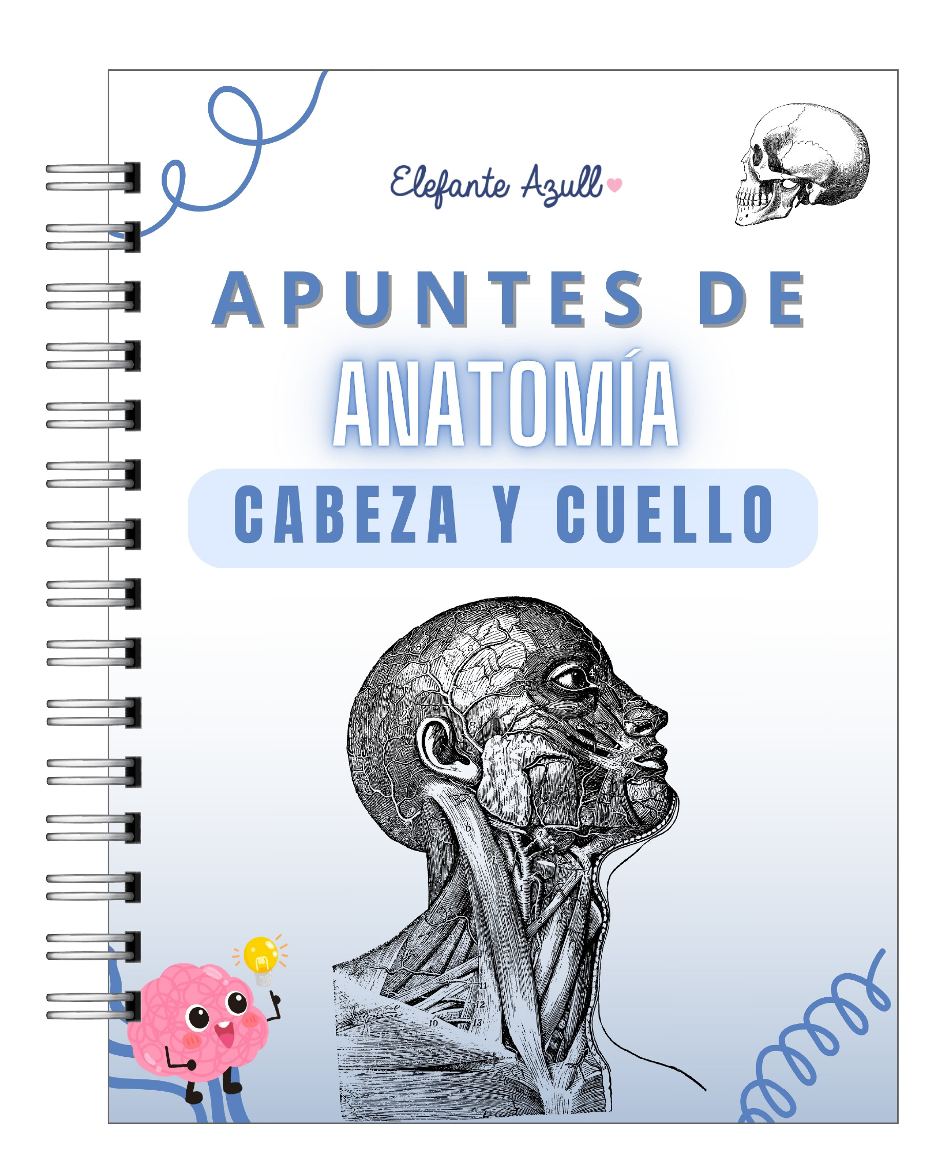 Libreta de Apuntes de Anatomía Cabeza y Cuello 1