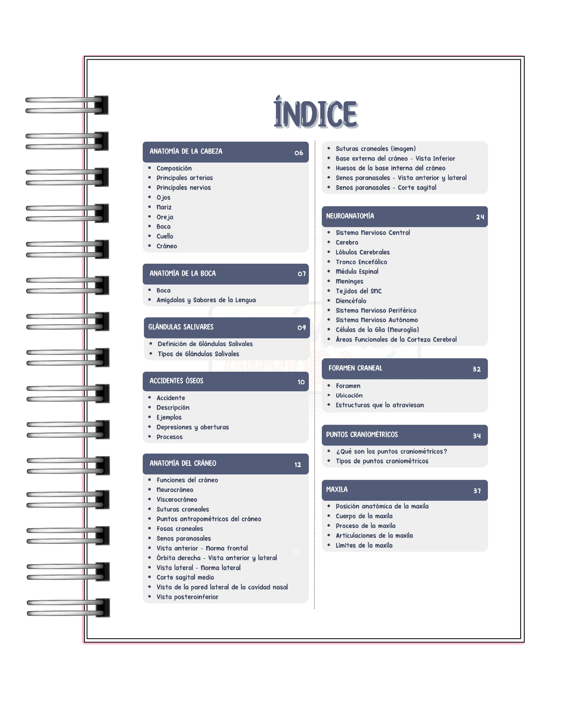 Libreta de Apuntes de Anatomía Cabeza y Cuello 2
